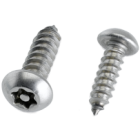 2 Sicherheitsschrauben - Torx-20